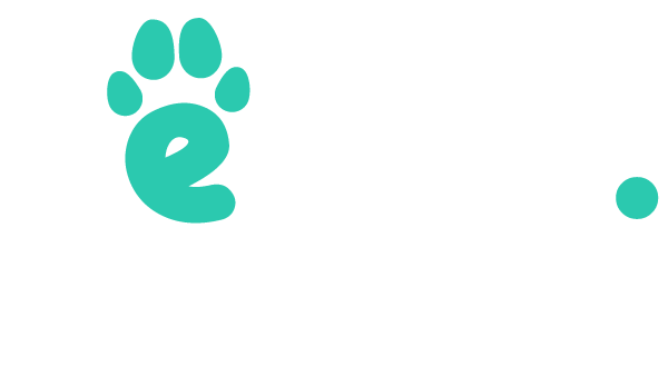 fetch.studio logo